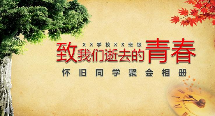 致我們逝去的青春之青春成長(zhǎng)相冊(cè)PPT模板