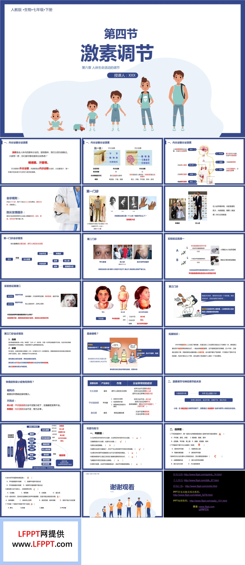 激素調(diào)節(jié)PPT課件