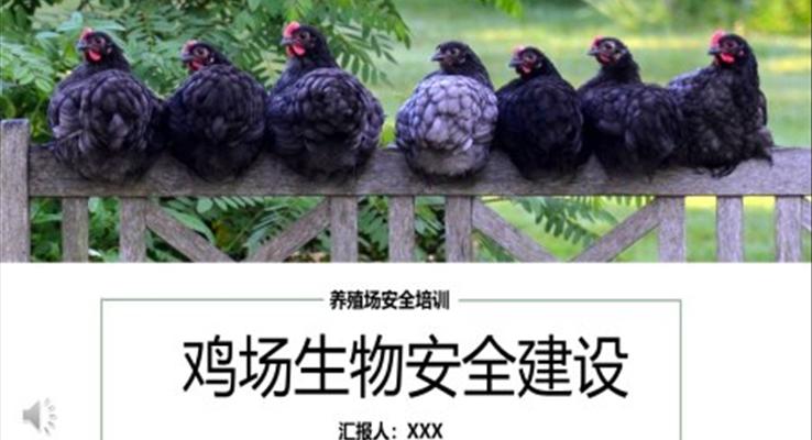 雞場(chǎng)生物安全建設(shè)安全生產(chǎn)PPT