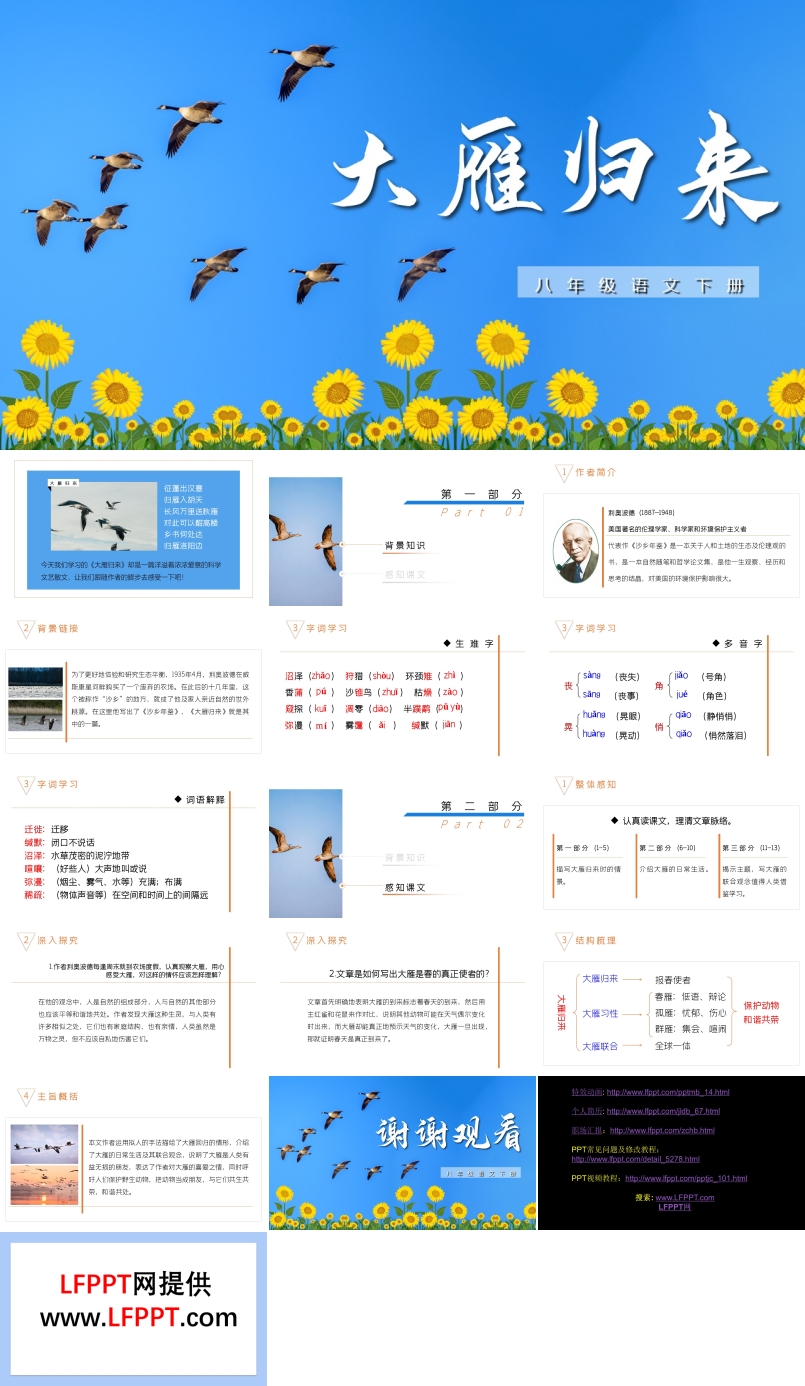 大雁歸來PPT課件