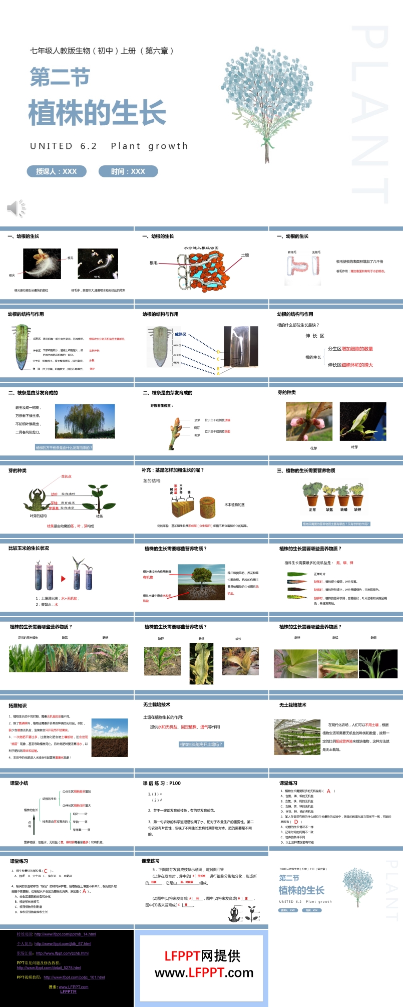 部編版七年級生物上冊植株的生長課件PPT