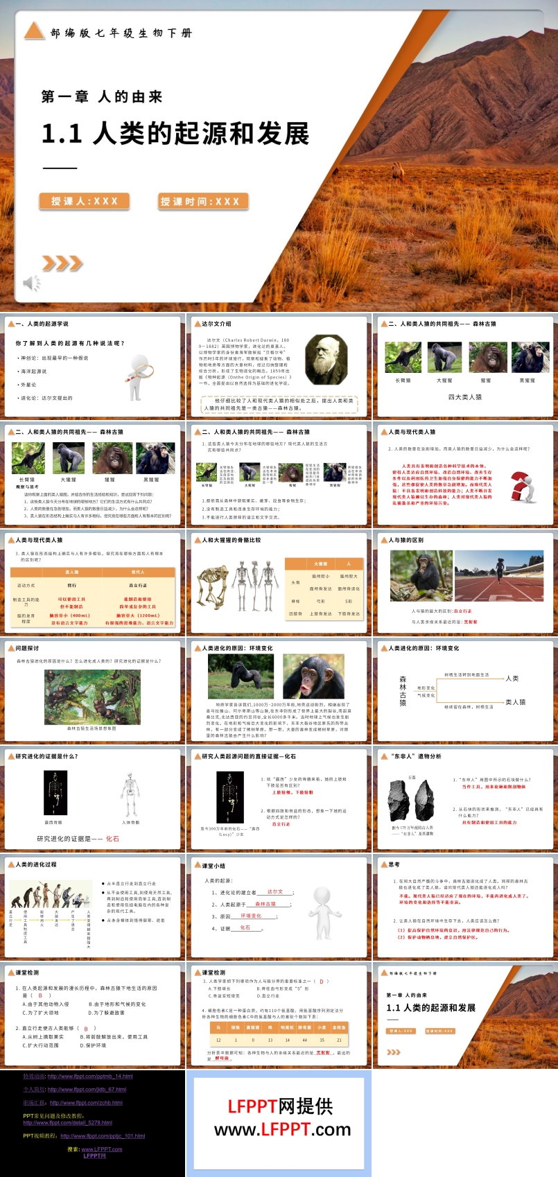 部編版七年級生物下冊人類的起源與發(fā)展課件PPT