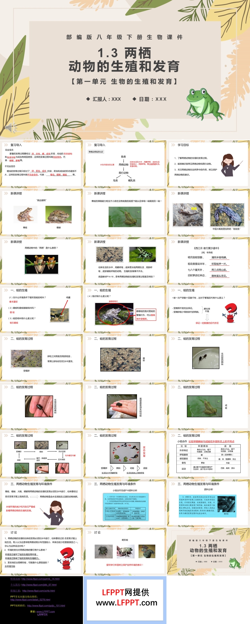 部編版八年級(jí)生物下冊(cè)兩棲動(dòng)物的生殖和發(fā)育課件PPT