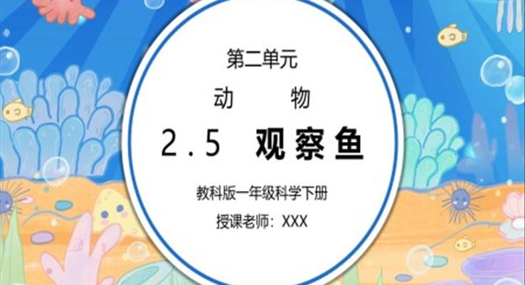 教科版一年級科學(xué)下冊第二單元《動物-觀察魚》PPT課件