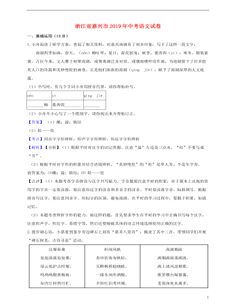 浙江省嘉興市2019年中考語文真題試題（含解析）