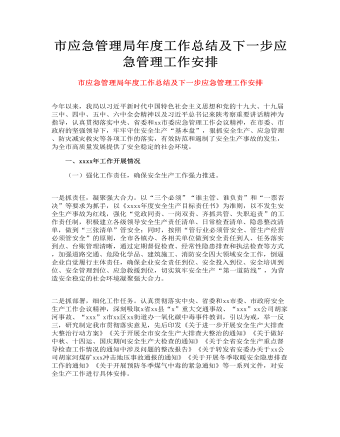 市應急管理局年度工作總結(jié)及下一步應急管理工作安排