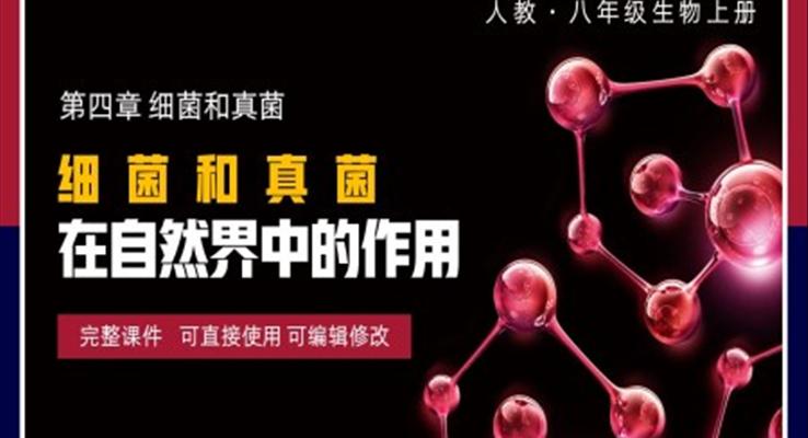 八年級上冊細(xì)菌和真菌在自然界中的作用PPT課件