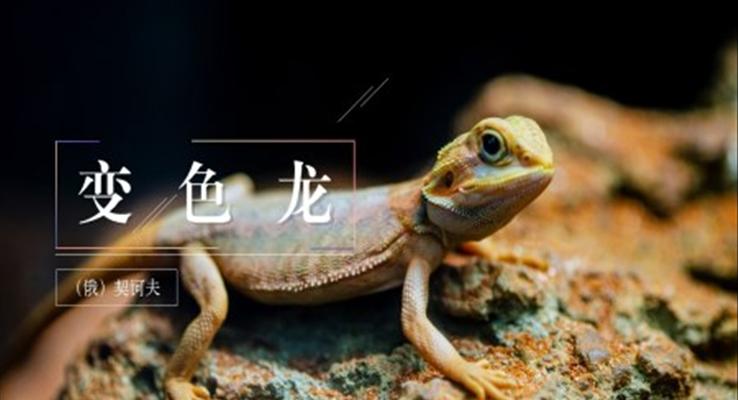 初中語(yǔ)文九年級(jí)《變色龍》教育教學(xué)課件PPT