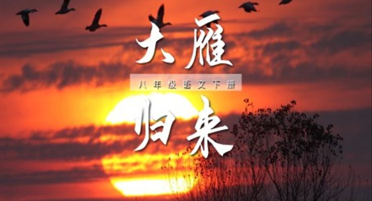 初中語(yǔ)文八年級(jí)下冊(cè)《大雁歸來(lái)》教育教學(xué)課件