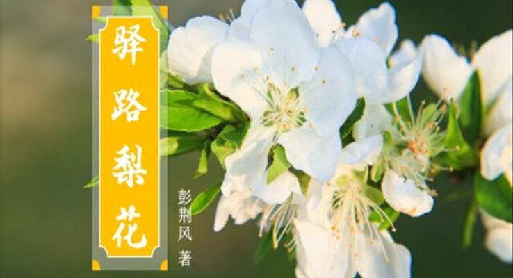 初中語文七年級(jí)《驛路梨花》教育教學(xué)課件PPT