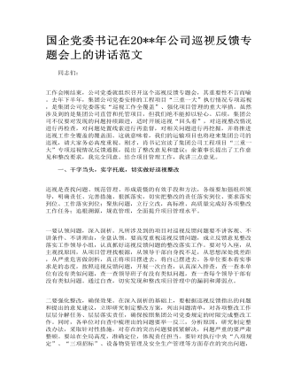 國企黨委書記在公司巡視反饋專題會上的講話范文