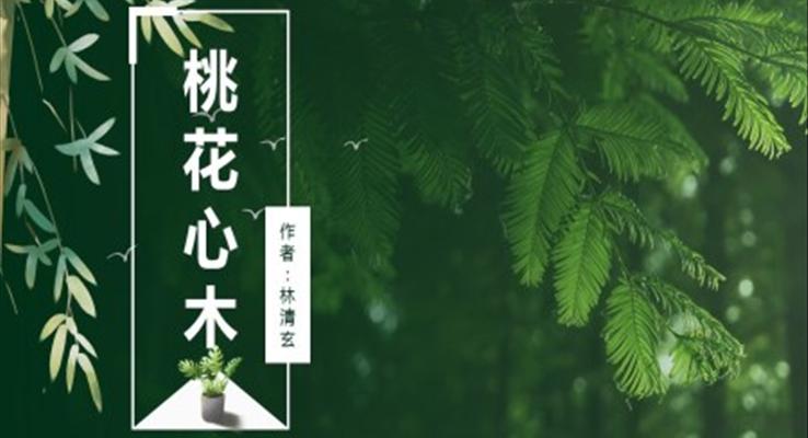 小學(xué)語文人教版六年級《桃花心木》PPT課件