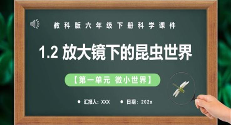 教科版六年級(jí)科學(xué)下冊(cè)放大鏡下的昆蟲(chóng)世界課件PPT模板