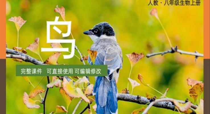 八年級上冊生物圈中的其他生物鳥PPT課件