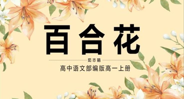 高中語(yǔ)文百合花課件PPT