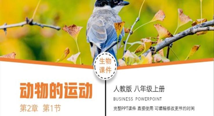 生物八年級上冊動(dòng)物的運(yùn)動(dòng)PPT課件