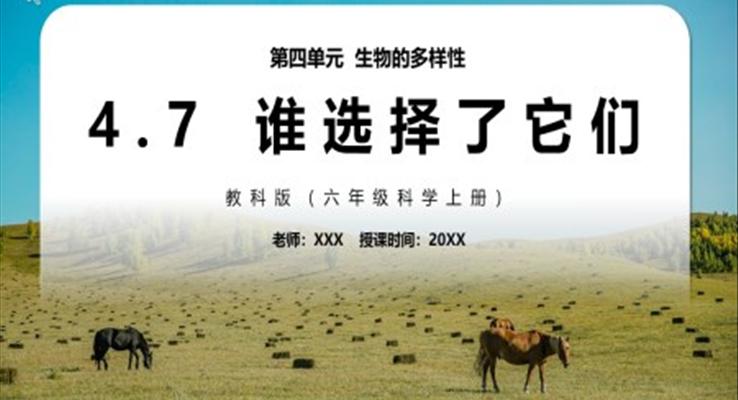 誰選擇了它們PPT課件模板教科版六年級科學(xué)上冊