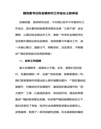 鎮(zhèn)黨委書記在全鎮(zhèn)農(nóng)村工作會議上的講話 