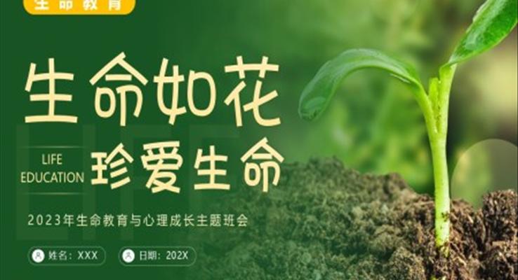 生命教育認(rèn)識(shí)生命珍愛(ài)生命安全教育主題班會(huì)PPT模板