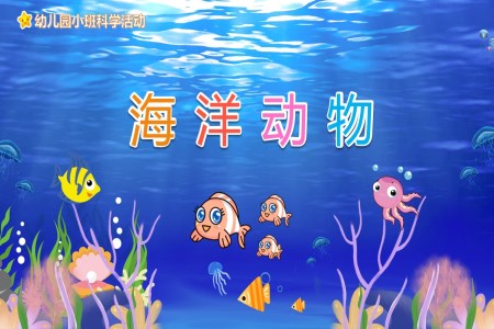 海洋動物PPT課件幼兒教育讀物繪本故事