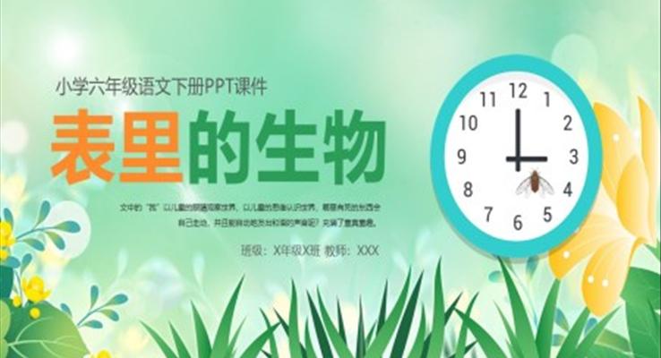 表里的生物ppt語文課件小學(xué)六年級(jí)下冊